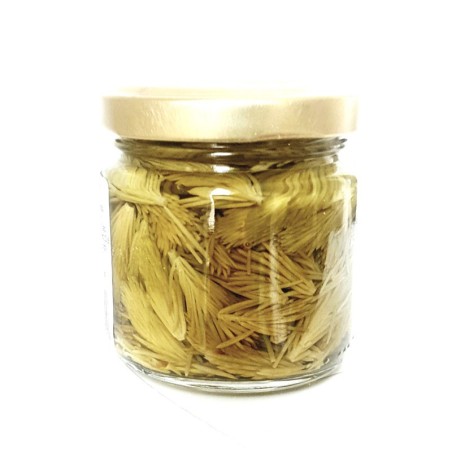 Pickles de jeunes pousses de sapin