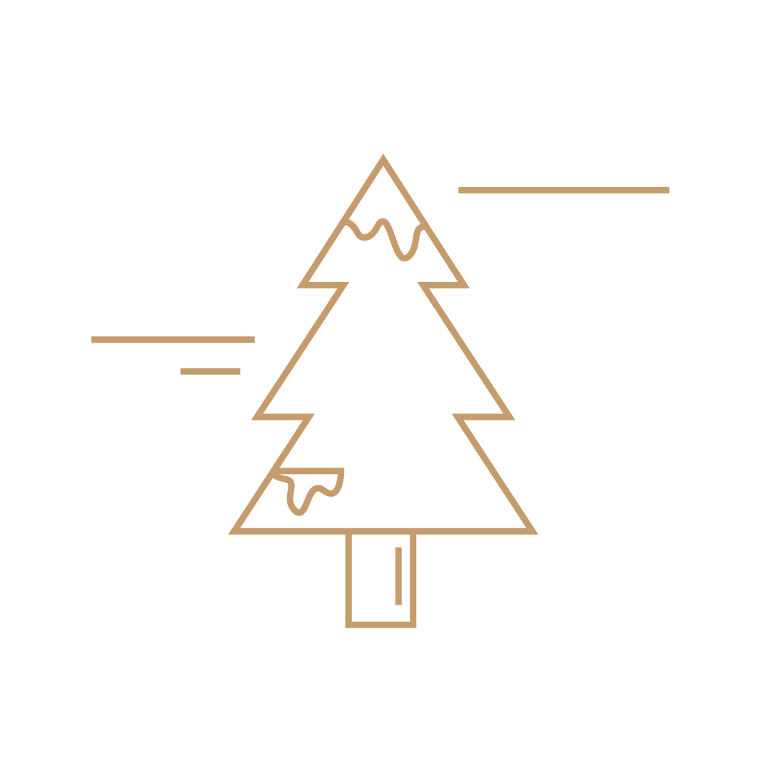 Sapin